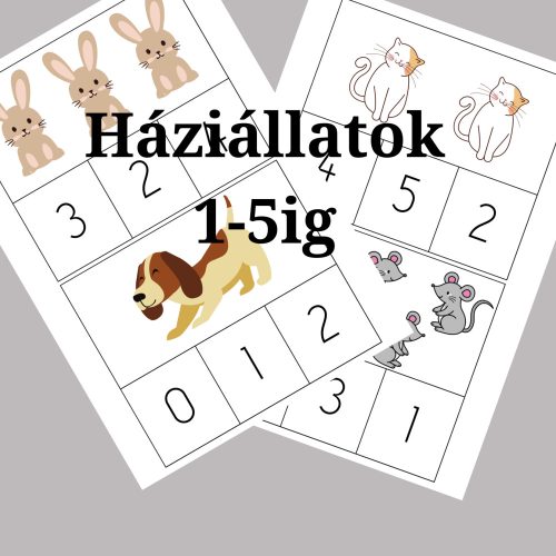 Háziállatok 1-5ig