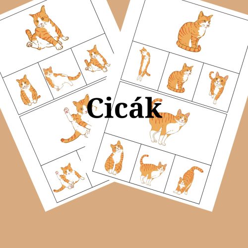 Cicák