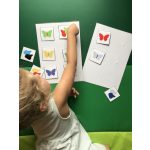 Színes pillangók (kettes színkombinációk)