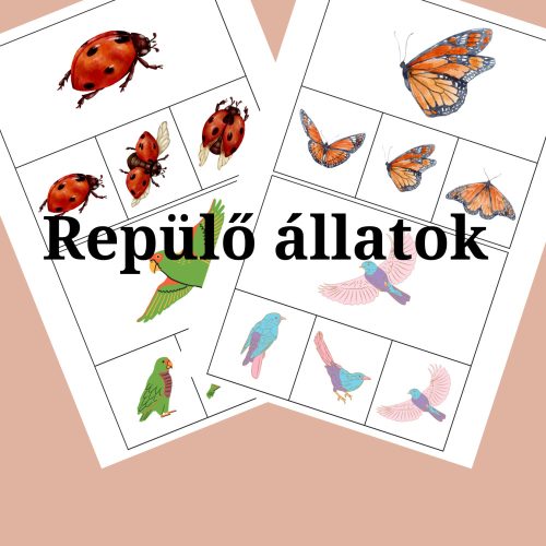 Repülő állatok